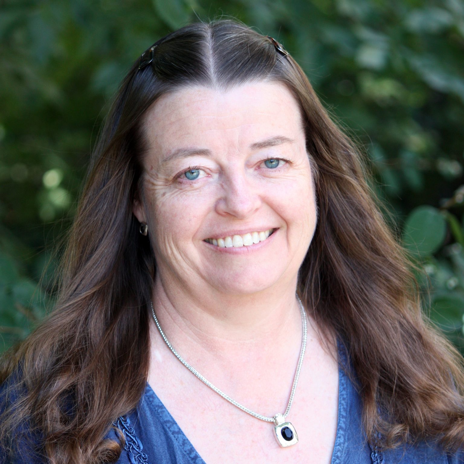 Faculty – MCIN at Colorado State Unversity